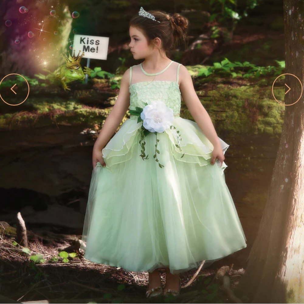 Trish Scully 🐸 👑 Disney Princess Tiana/Princess and the Frog Magical Gown EUC